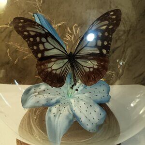 Butterfly Floral Glass Globe Terrarium On Wood Base Display Dome MCM Vintage